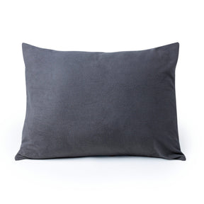 TETON Sports Grand Camp Pillow & Pillowcase